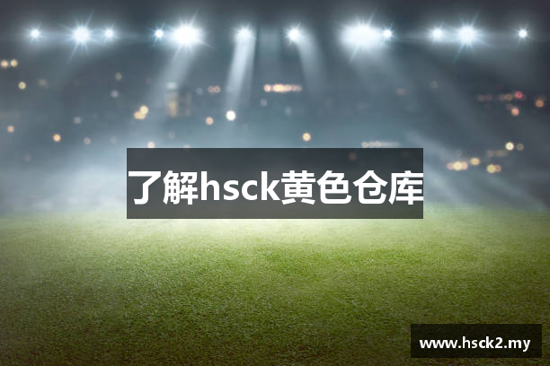 了解hsck黄色仓库